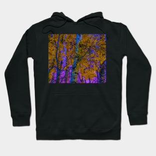 Sunset on Fall Leaves Hoodie